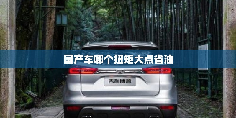 国产车哪个扭矩大点省油