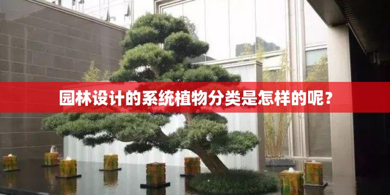 园林设计的系统植物分类是怎样的呢？