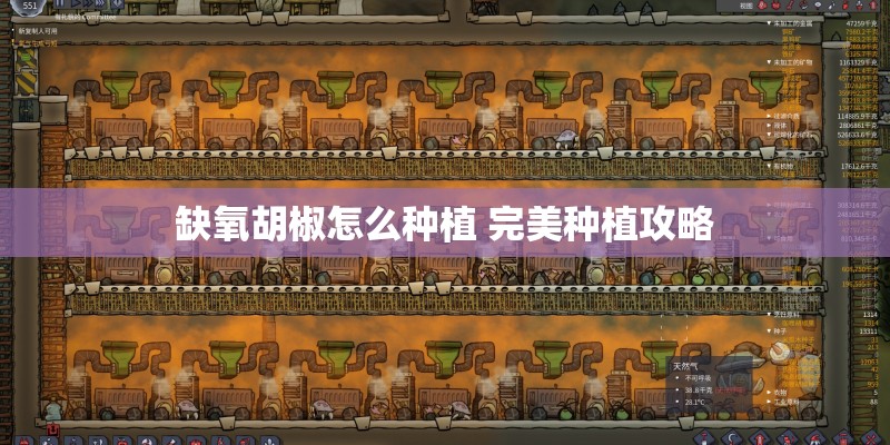 缺氧胡椒怎么种植 完美种植攻略