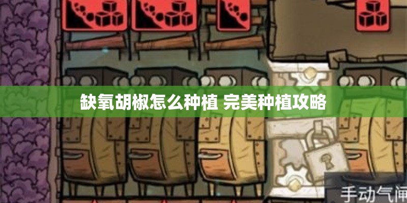 缺氧胡椒怎么种植 完美种植攻略
