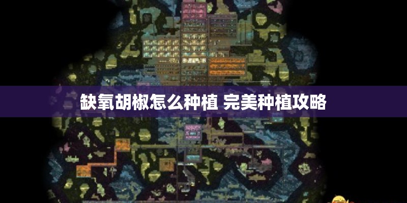 缺氧胡椒怎么种植 完美种植攻略