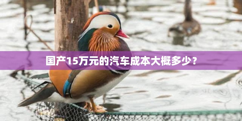 国产15万元的汽车成本大概多少？