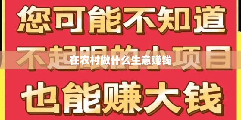 在农村做什么生意赚钱