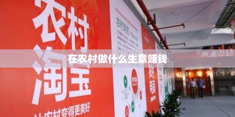 在农村做什么生意赚钱
