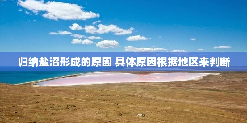 归纳盐沼形成的原因 具体原因根据地区来判断