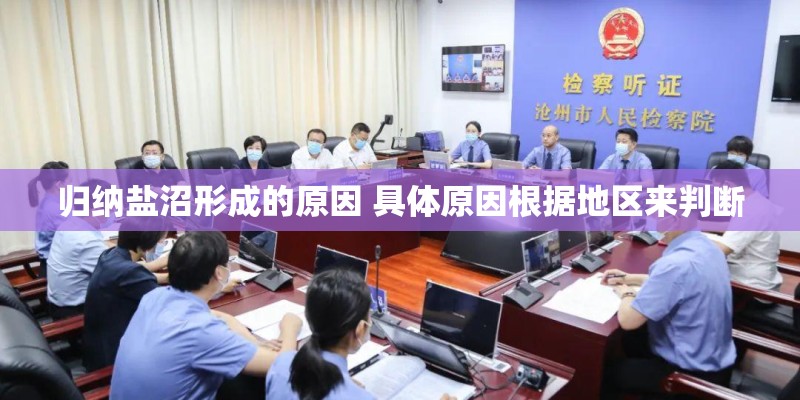 归纳盐沼形成的原因 具体原因根据地区来判断