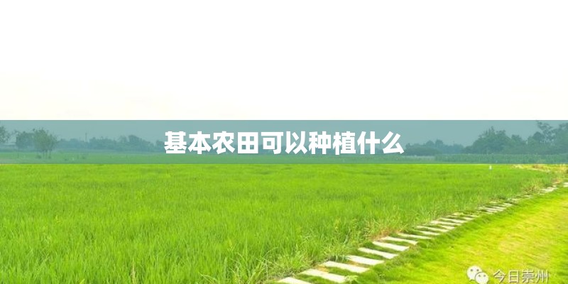 基本农田可以种植什么 基本农田可以种植什么