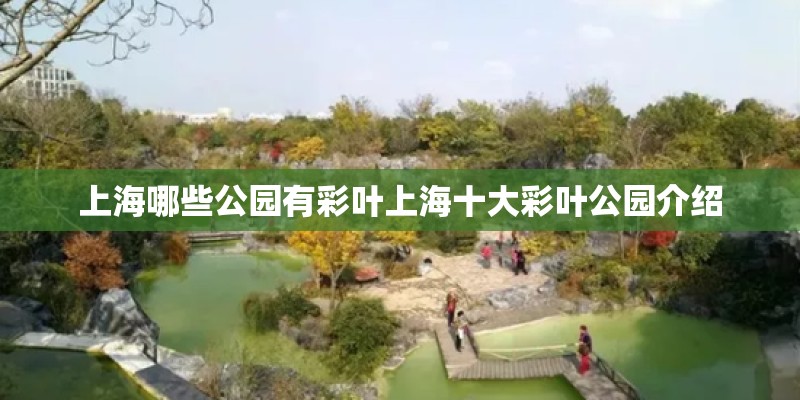上海哪些公园有彩叶上海十大彩叶公园介绍