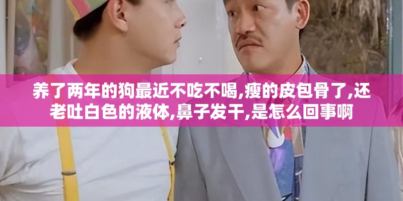 养了两年的狗最近不吃不喝,瘦的皮包骨了,还老吐白色的液体,鼻子发干,是怎么回事啊