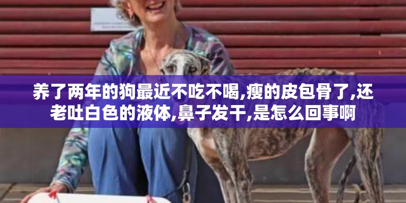 养了两年的狗最近不吃不喝,瘦的皮包骨了,还老吐白色的液体,鼻子发干,是怎么回事啊