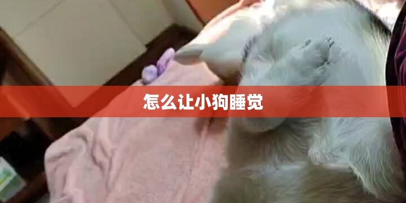 怎么让小狗睡觉