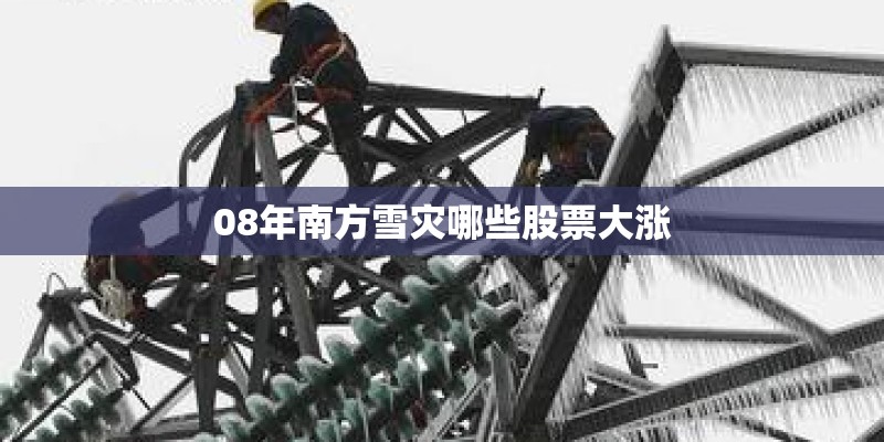 08年南方雪灾哪些股票大涨