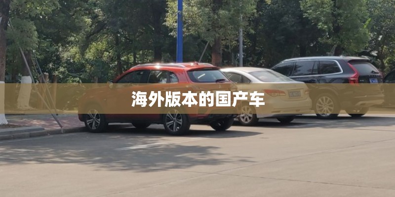 海外版本的国产车
