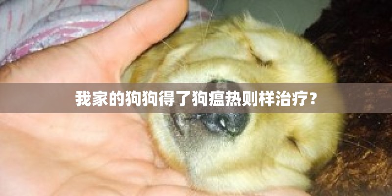 我家的狗狗得了狗瘟热则样治疗？