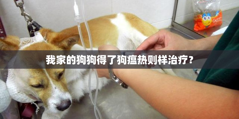 我家的狗狗得了狗瘟热则样治疗？