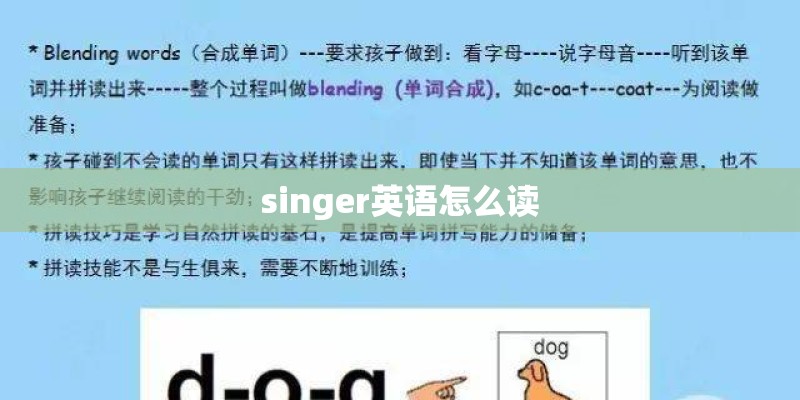 singer英语怎么读