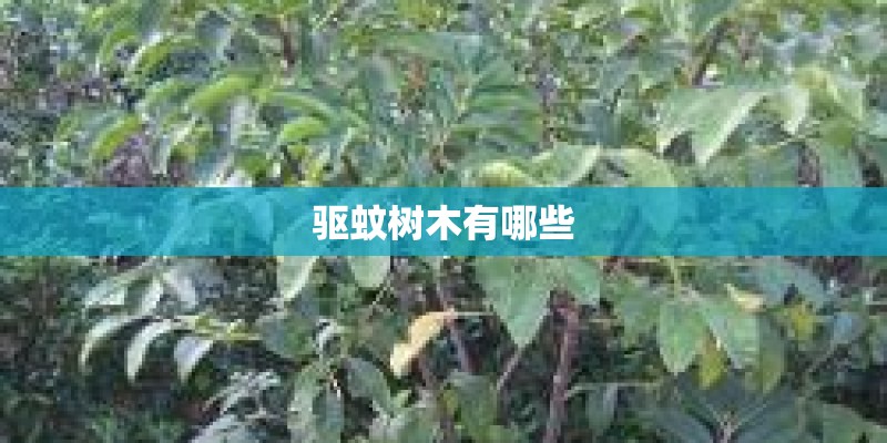 驱蚊树木有哪些 驱蚊树木有哪些
