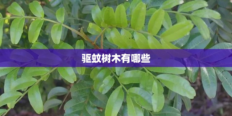 驱蚊树木有哪些 驱蚊树木有哪些