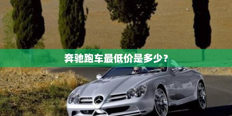 奔驰跑车最低价是多少？