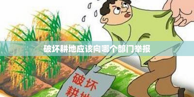 破坏耕地应该向哪个部门举报