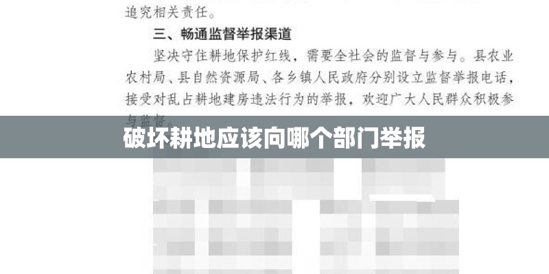 破坏耕地应该向哪个部门举报