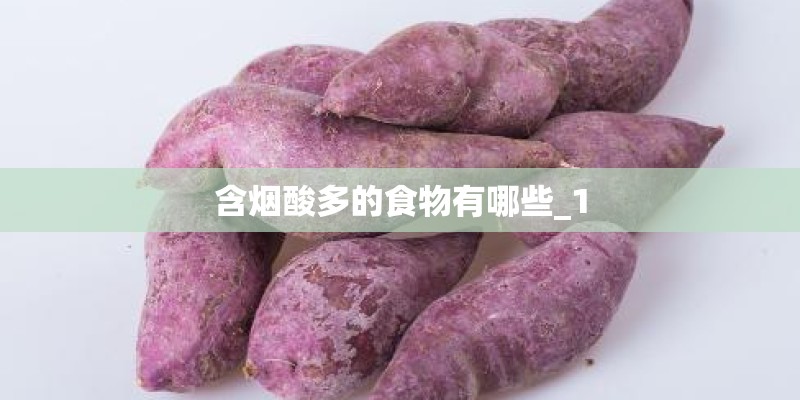 含烟酸多的食物有哪些_1