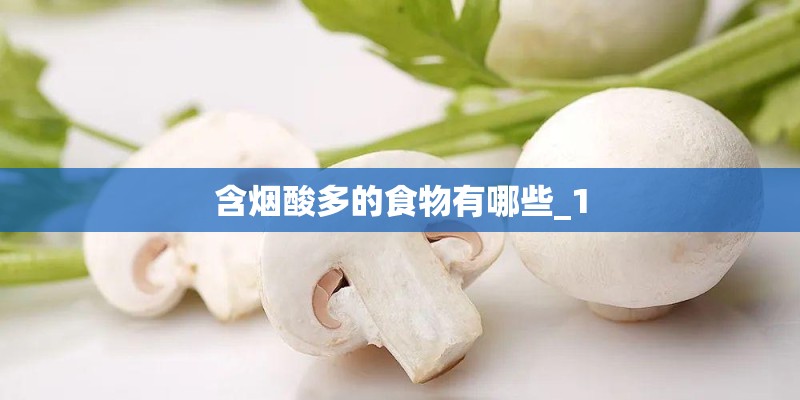 含烟酸多的食物有哪些_1