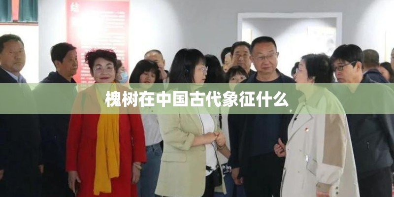 槐树在中国古代象征什么