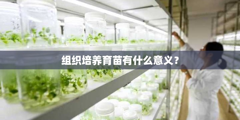 组织培养育苗有什么意义？