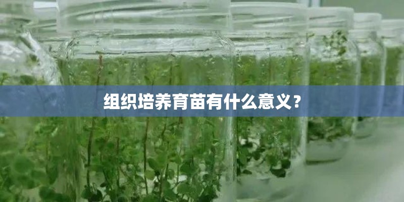 组织培养育苗有什么意义？