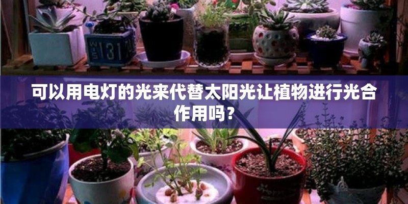 可以用电灯的光来代替太阳光让植物进行光合作用吗？