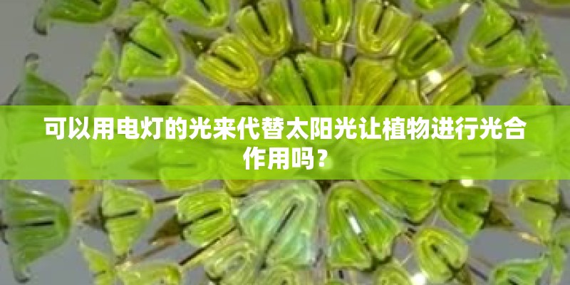 可以用电灯的光来代替太阳光让植物进行光合作用吗？