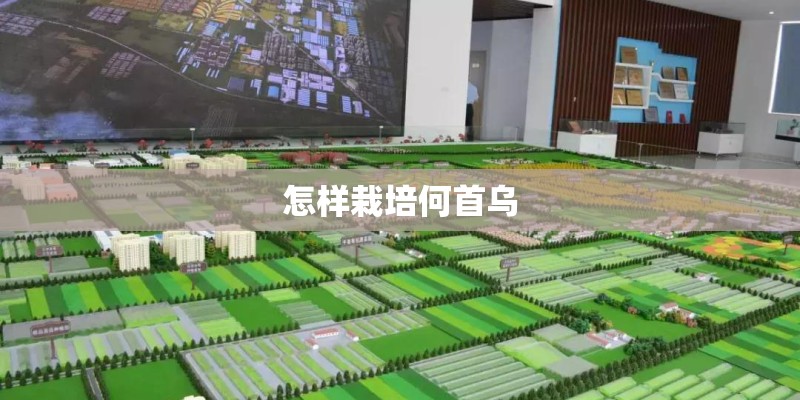 怎样栽培何首乌
