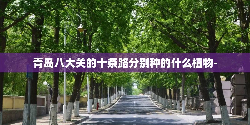 青岛八大关的十条路分别种的什么植物-