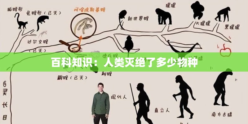 百科知识：人类灭绝了多少物种