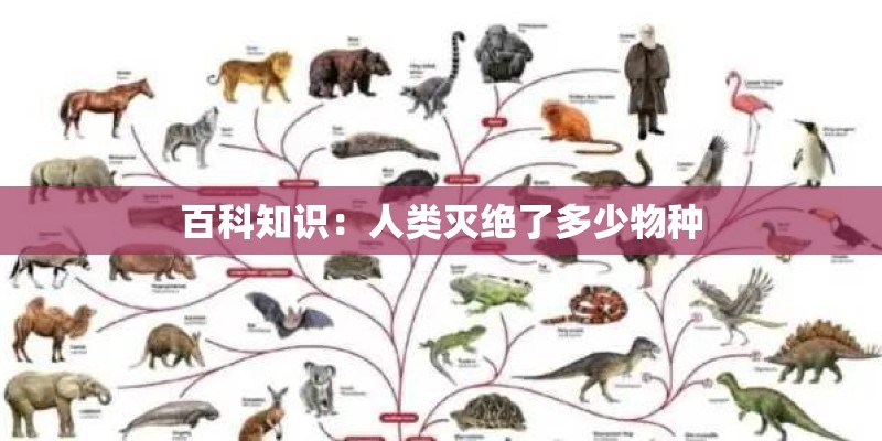 百科知识：人类灭绝了多少物种