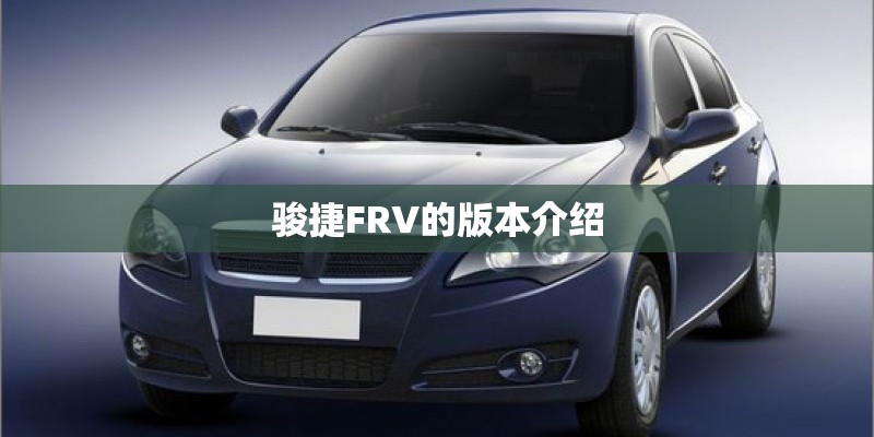 骏捷FRV的版本介绍
