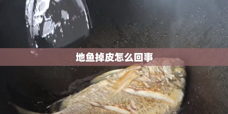地鱼掉皮怎么回事