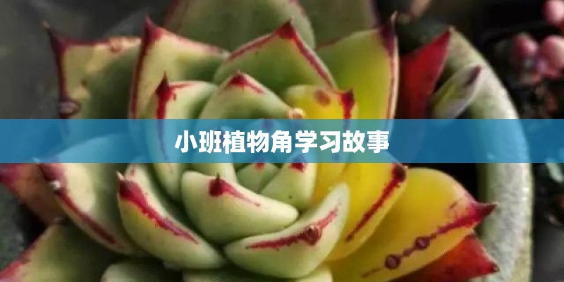 小班植物角学习故事