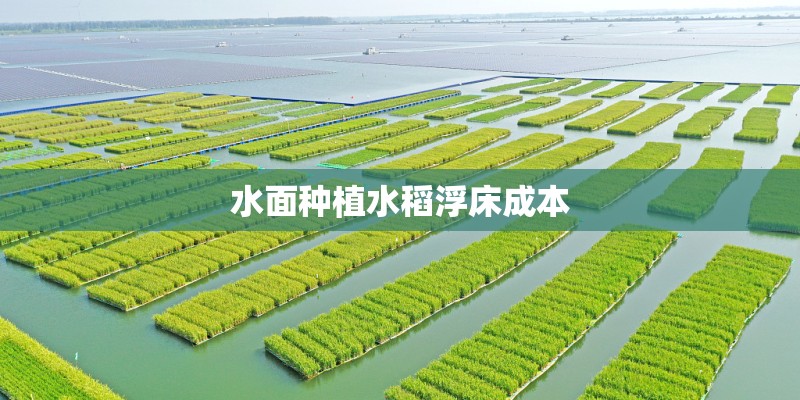 水面种植水稻浮床成本