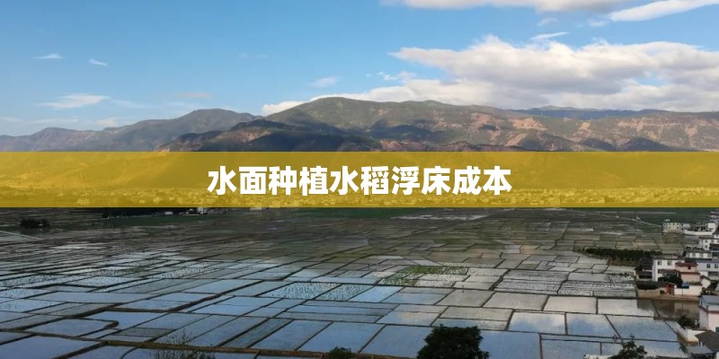 水面种植水稻浮床成本