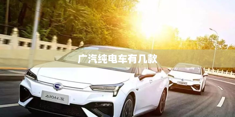 广汽纯电车有几款