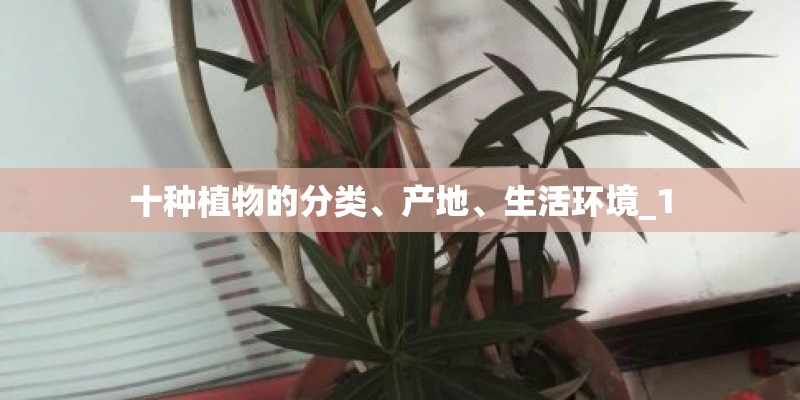 十种植物的分类、产地、生活环境_1
