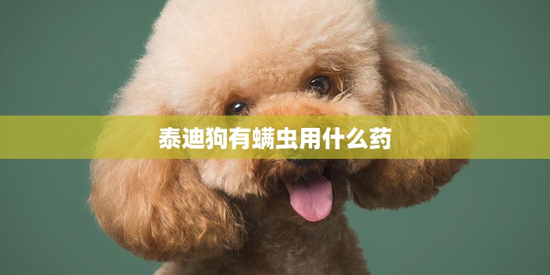 泰迪狗有螨虫用什么药