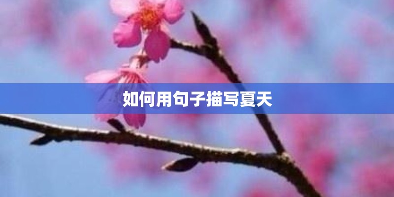 如何用句子描写夏天