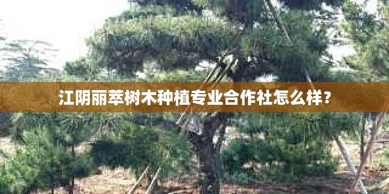 江阴丽萃树木种植专业合作社怎么样？