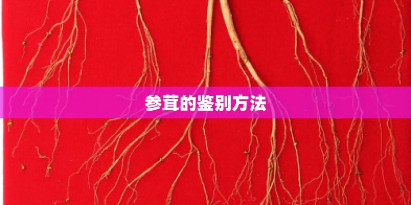 参茸的鉴别方法