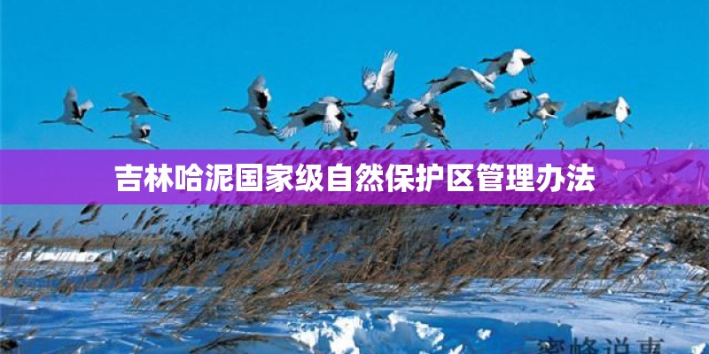 吉林哈泥国家级自然保护区管理办法