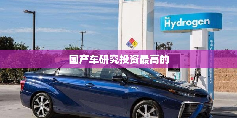 国产车研究投资最高的