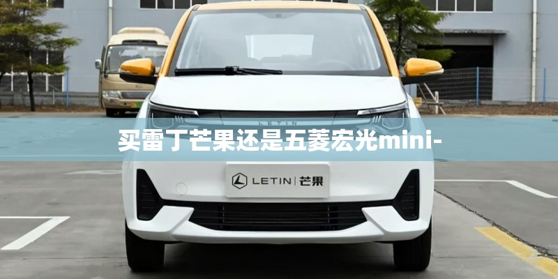 买雷丁芒果还是五菱宏光mini-